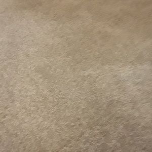 Meet your Posher, Latonya